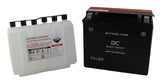 BCTX20L-AGM| Batteria Moto al GEL,YTX20L-BS,12V,18Ah,CCA: 270Amp,175x87x155 mm - BC Battery Italian Official Website